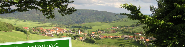 Alpenblick, Ferienwohnung, Schweizer Alpen, Dreiländereck, Gersbach, Urlaub